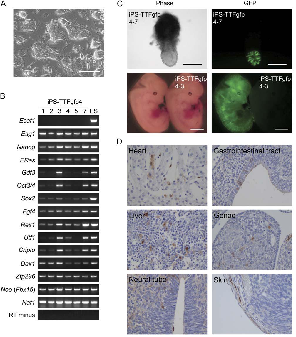 Figure 6